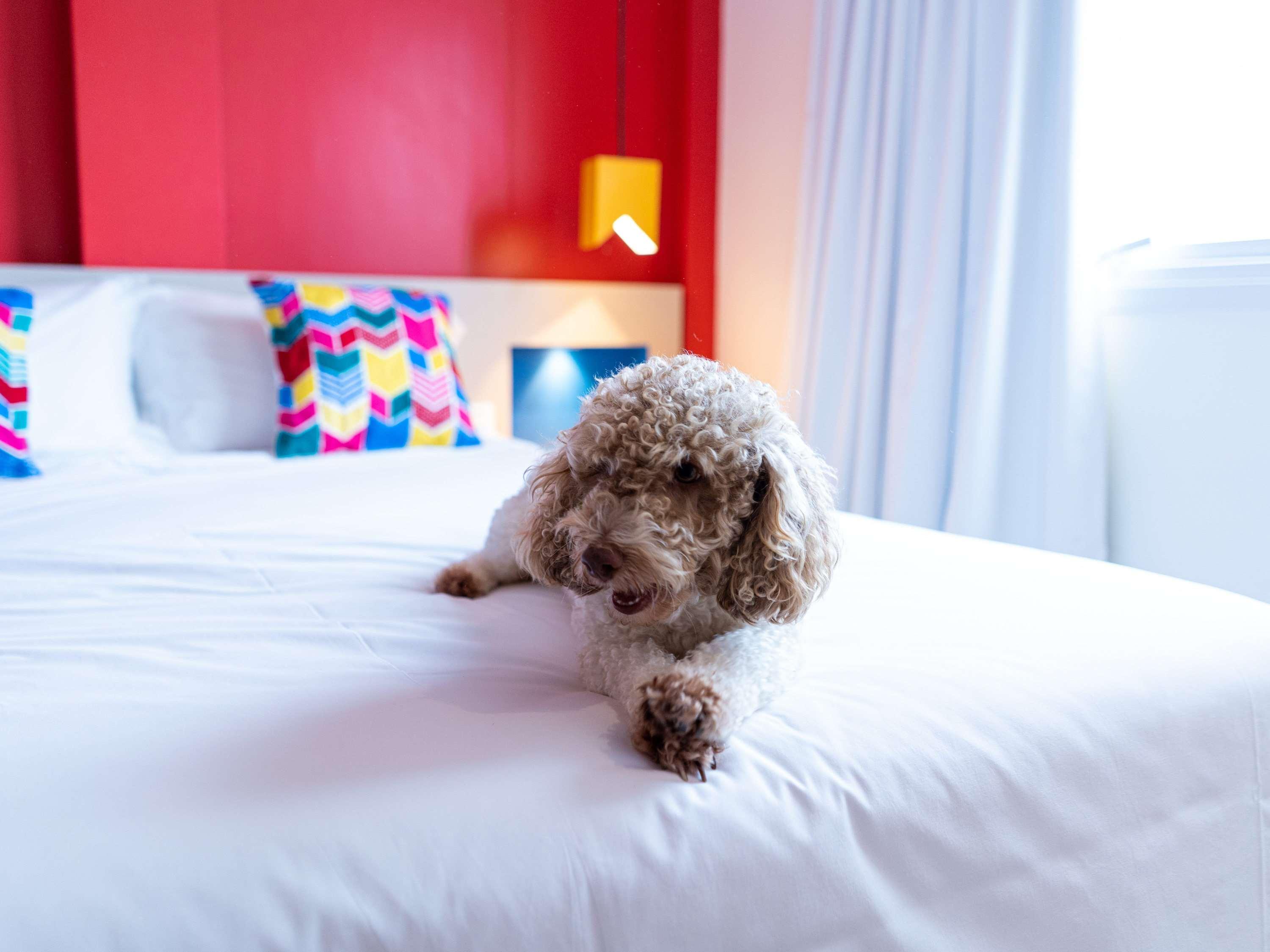 Ibis Styles Campina Grande Otel Dış mekan fotoğraf